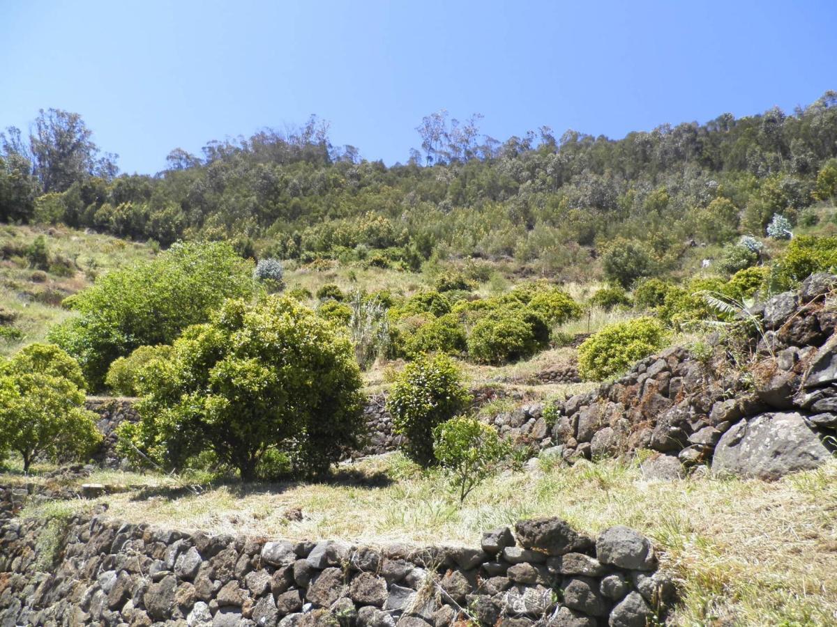 Villa Luz - Family House Vacations- Large Private Outdoor Area Santa Cruz  Bagian luar foto